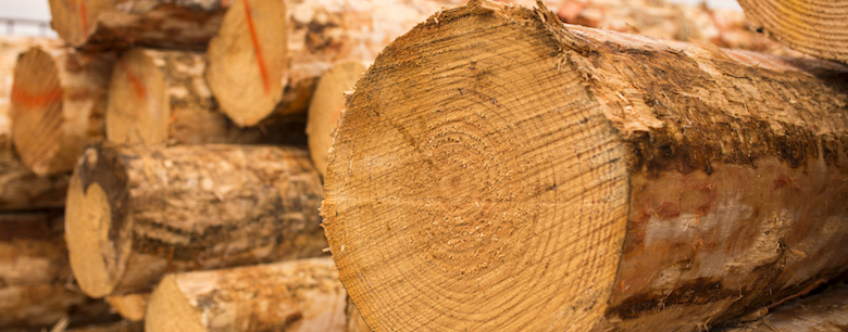 pile of tree logs is arsenic still used in treated timber