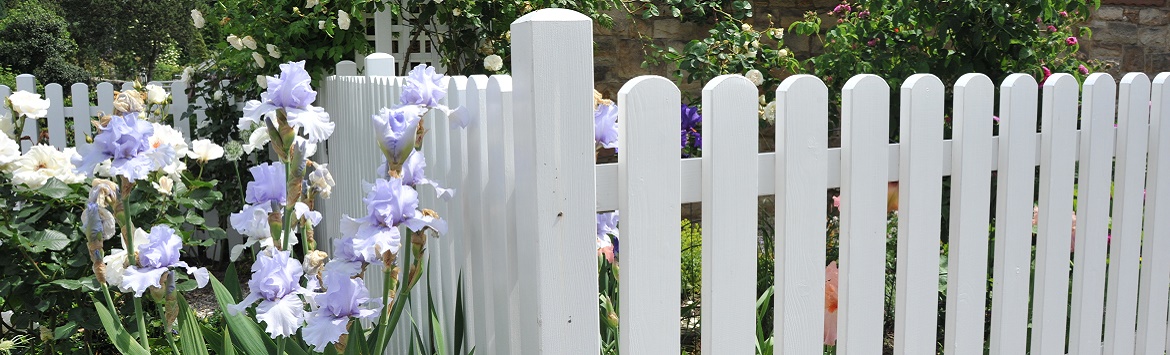 Picket fence painted white